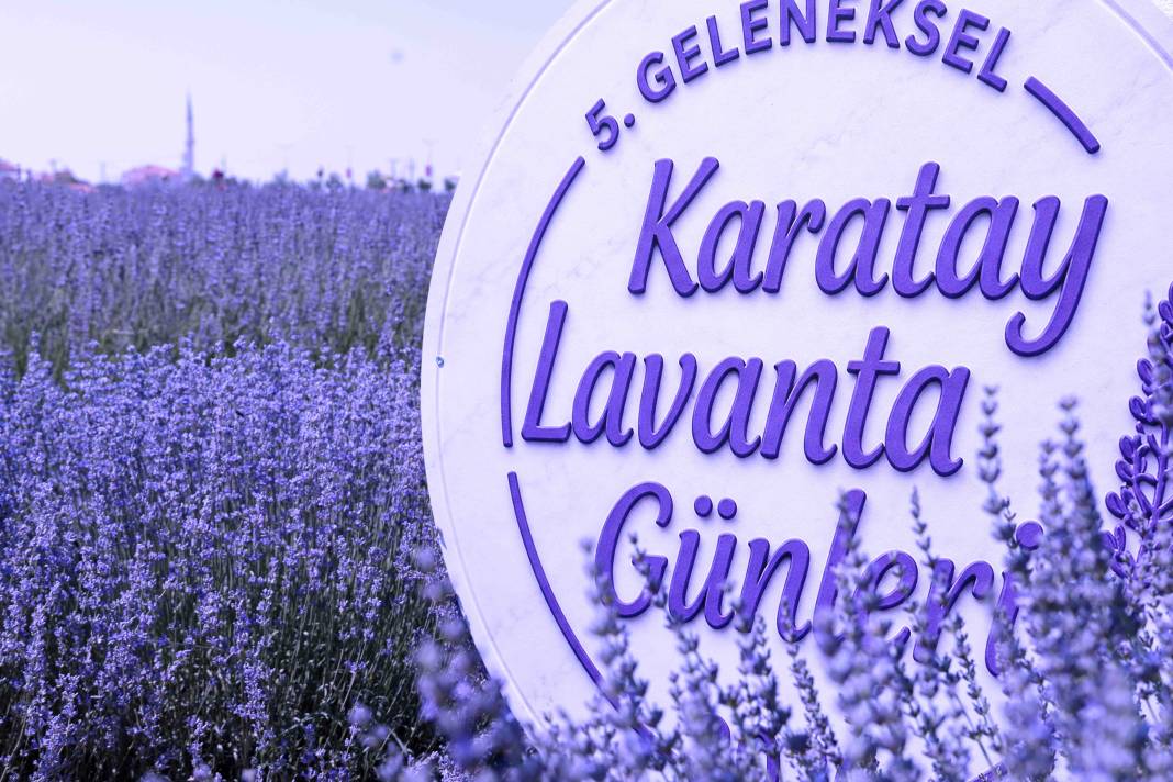Karatay'ın mor güzelliği bir kez daha büyüledi! 11